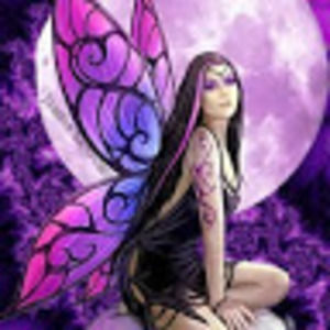 Meet your Posher, Charlotte